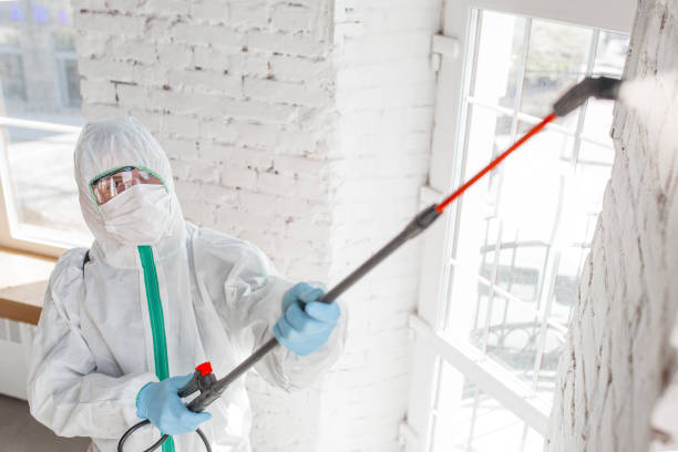 Best Water Damage & Mold Remediation  in Bonadelle Ranchos, CA
