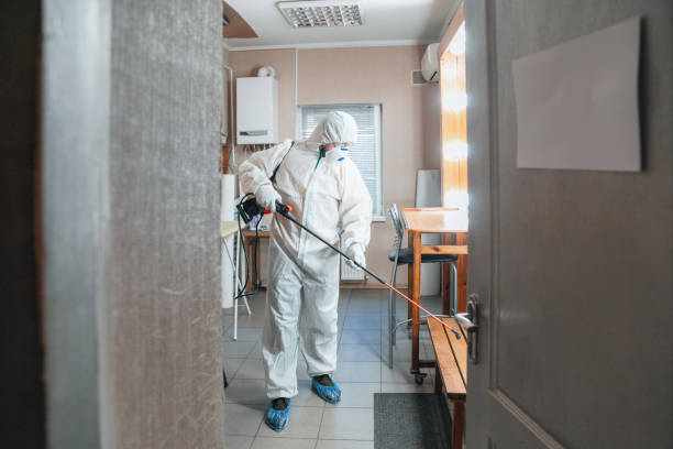 Best Industrial Mold Remediation  in Bonadelle Ranchos, CA