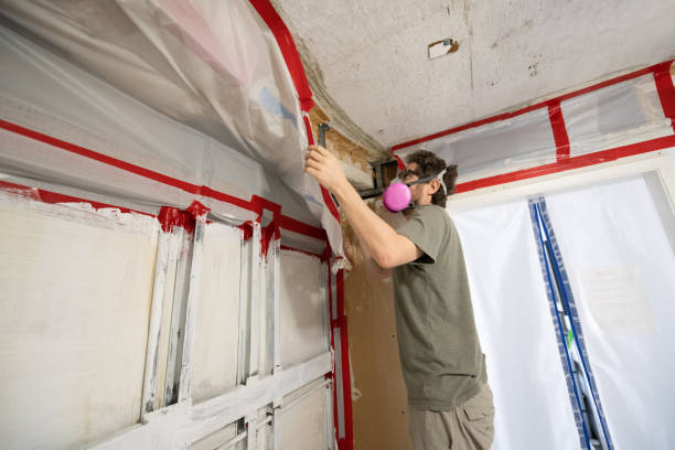 Best Mold Damage Restoration  in Bonadelle Ranchos, CA