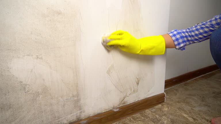 Best Mold Remediation for Healthcare Facilities  in Bonadelle Ranchos, CA
