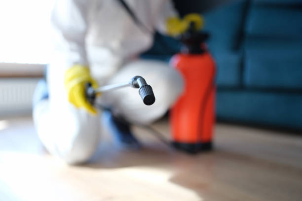 Best Environmental Consulting for Mold Prevention  in Bonadelle Ranchos, CA