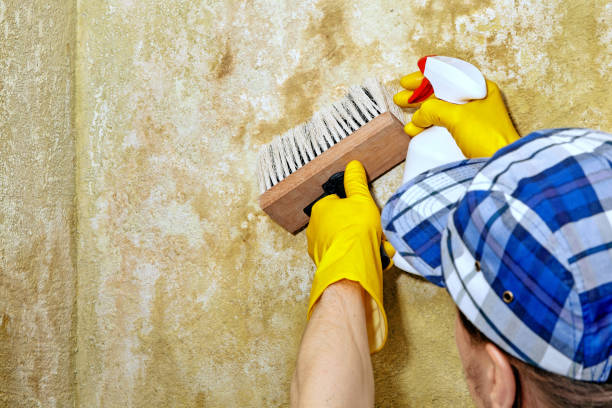 Best Mold Documentation for Insurance Claims  in Bonadelle Ranchos, CA