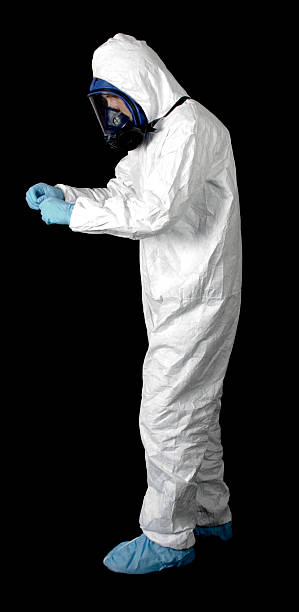 Best Attic Mold Removal  in Bonadelle Ranchos, CA