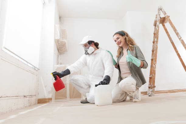 Best Mold Damage Restoration  in Bonadelle Ranchos, CA