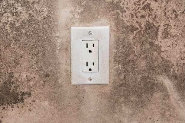 Best Water Damage & Mold Remediation  in Bonadelle Ranchos, CA