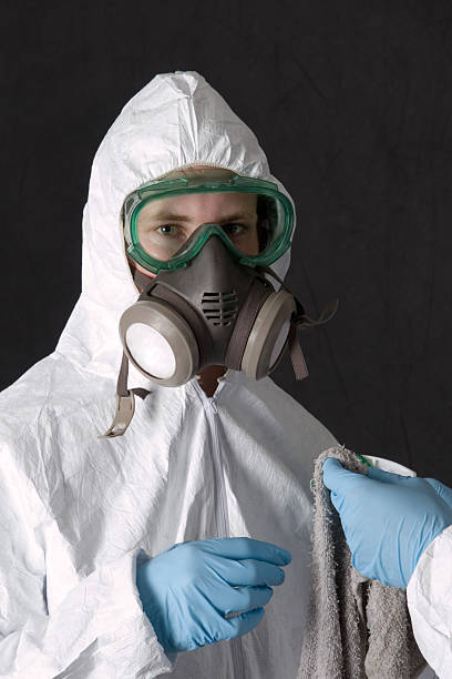 Reliable Bonadelle Ranchos, CA Mold Removal Solutions